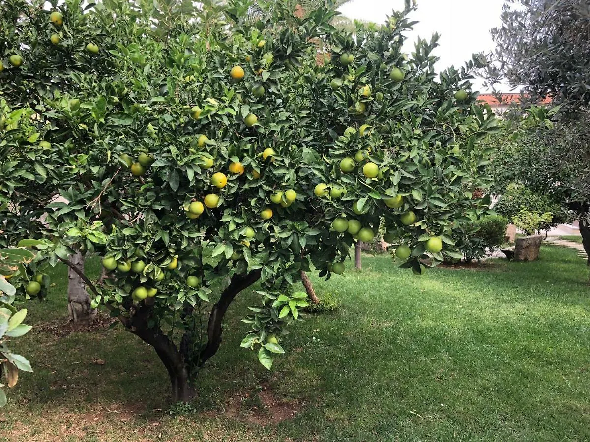 הוילה פלרמו Casa Gelsomino 0*,